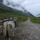 Etappe3 - Schweizer Grenze