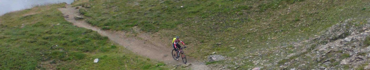 Transalp 2015