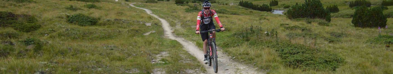 Transalp 2015