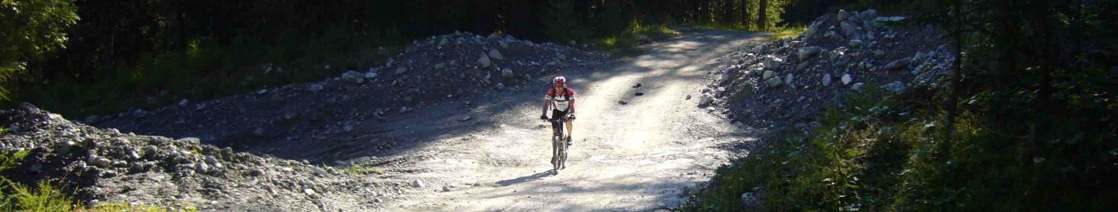 Transalp 2015